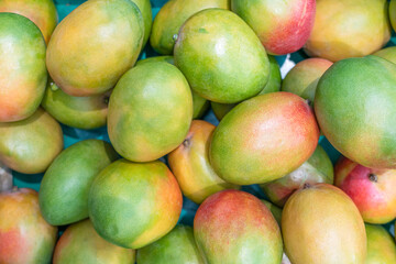 ripe mangoes close-up on store shelves. tropical fruits
