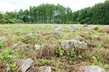landscape with forest, meadow and large boulders