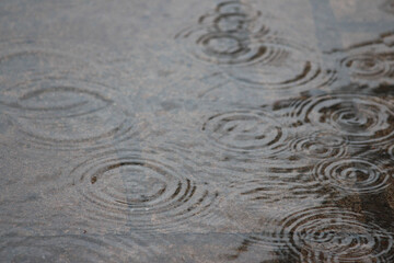 Fototapeta na wymiar Puddle of water, with ripples showing on the surface from the rain that is falling down