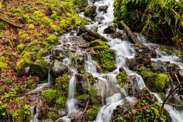 Multnomah Falls Pathway Cascading Stream