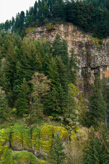 Obraz premium Mountain View from Multnomah Falls Parking Lot