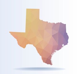 Polygonal map of Texas state