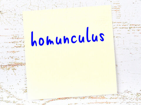 Yellow sticky note on wooden wall with handwritten word homunculus