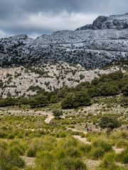 Fototapeta na wymiar Embassament de Cúber, Reservoir in the Serra de Tramuntana mountain range near Mallorca's highest peak.