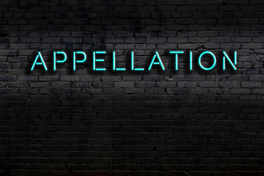 Neon sign. Word appellation against brick wall. Night view