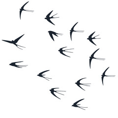 Flying martlet birds silhouettes vector illustration. Migratory martlets group isolated on white.