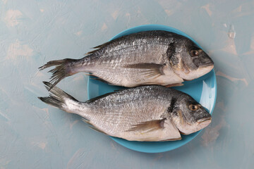 Two raw dorado on blue plate on light blue background. View from above