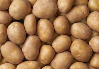Obraz premium Background of a heap of potatoes close-up. Close-up potatos texture.
