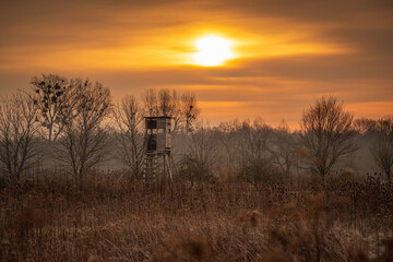 Hunting tower during an moody sunrise