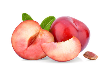 red cherry plum isolated on white background