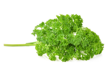 Parsley isolated on white background