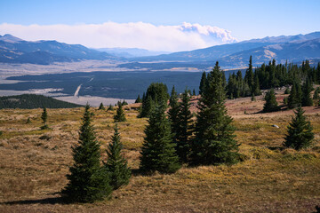 Smoke from a distant wildfire behind a group of pine trees.