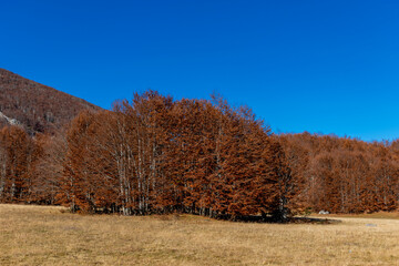 autumn in the mountains