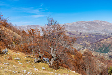 autumn in the mountains
