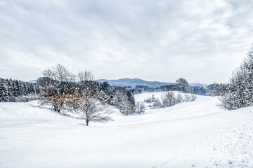 Snowy panorama winter landscape near Ranfels, a small village in the bavarian forest, germany