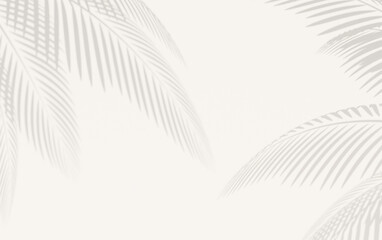 Fototapeta na wymiar white background with defined shadow of palm