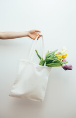 Female hand is holding eco bag with tulips on white background. Template for print. Spring shopping.