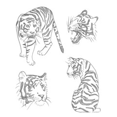 Cztery tygrysy