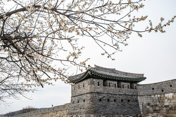 한국 전통의 건축물