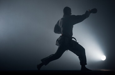 Fototapeta premium Portrait of a martial arts master on the black background