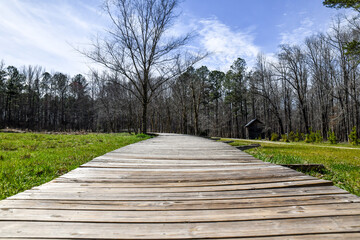 empty wooden boardwalk path