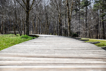 Fototapeta na wymiar empty wooden boardwalk path