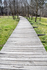 empty wooden boardwalk path