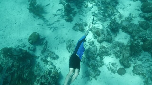 Panning: Man Swimming With Camera Amidst Fish On Coral Reef