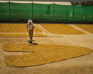person walking in the park