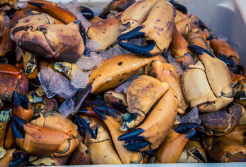 fresh crab legs at a market