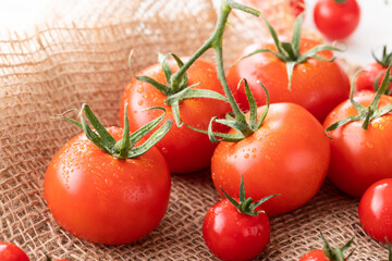 新鮮朝採り、房摘みトマト