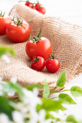 新鮮朝採り、房摘みトマト