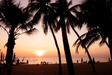 silhouette, Beautiful tropical beach with palm trees silhouettes at sunset.