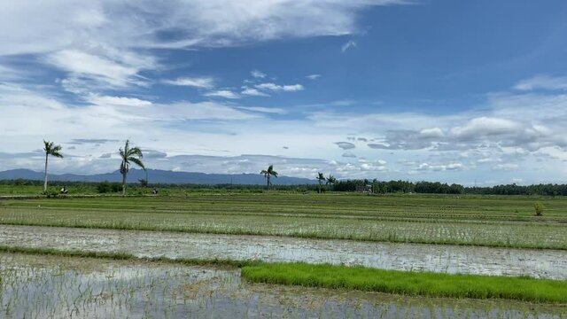 Panorama Of A Rural Fields With Farmers Working Under Blue Cloudy Sky Near Countryside Of Yogyakarta, Indonesia. - Panning Shot