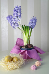 Spring still life with hyacinths and bird's nest, copy space, selective focus