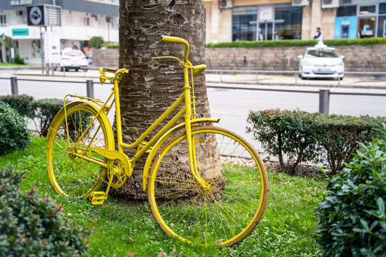 Vintage yellow bicycle is parked on the lawn with green grass as art object, leaning on exotic palm tree and surrounded by little bushes. Creative urban landscape.