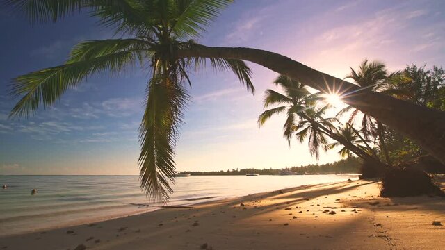 Ocean sunrise, man running on tropical island beach, 4k video