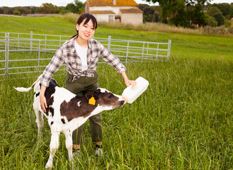 Chinese female farmer taking care of newborn calf in livestock farm. High quality photo