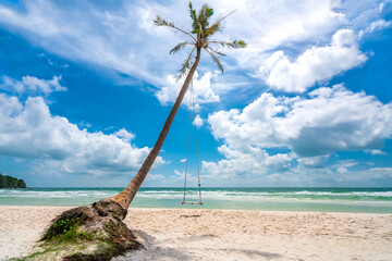 Swing attached to a palm tree in the idyllic Sao beach in Phu Quoc island, Vietnam. Sao beach is one of the best beaches of Vietnam.