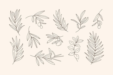 Set of Leaves and Branch. Outline Palm leaf and Olive Branch In a Trendy Minimalist Style. Vector Illustration for printing on t-shirt, Web Design, beauty Salons, Posters, creating a logo and Patterns - 419535376