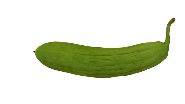 Realistic render of a spinning Young Armenian Cucumber (Green, Unripe) on white background. The video is seamlessly looping, and the 3D object is scanned from a real cucumber.
