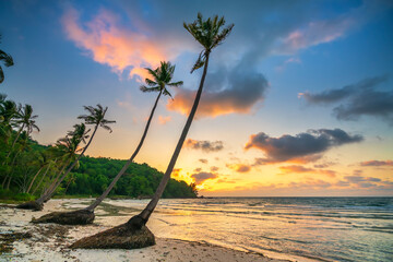 Dawn on a deserted beach with beautiful leaning coconut trees facing the sea and a beautiful dramatic sky emerald Phu Quoc island, Vietnam © huythoai