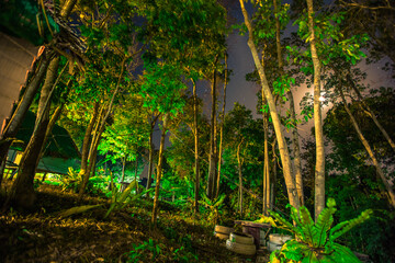 Abstract background of celestial stars, blurred wallpaper of the Milky Way at night, is a natural...