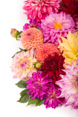 Deautiful flower of pink dahlia isolated on a white background