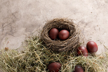 Still life many colorful easter eggs on a textural background. Rustic. Decoration from natural herbs. Easter celebration concept.