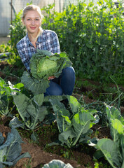 Young female gardener controlling growing process of cabbage in homestead
