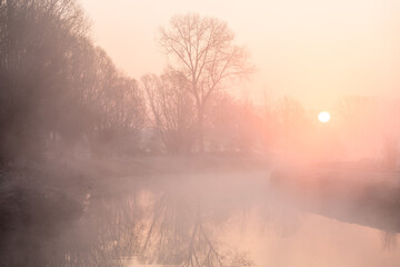 Fototapeta na wymiar Tree in the mist at the river