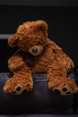 sad teddy bear sitting on the back of the sofa