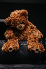 sad teddy bear sitting on the back of the sofa
