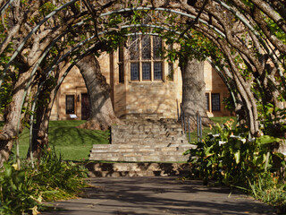 Naklejka premium Vertical window and large tree with branches of the victorian vintage buildings and vaulted shape climbing plant